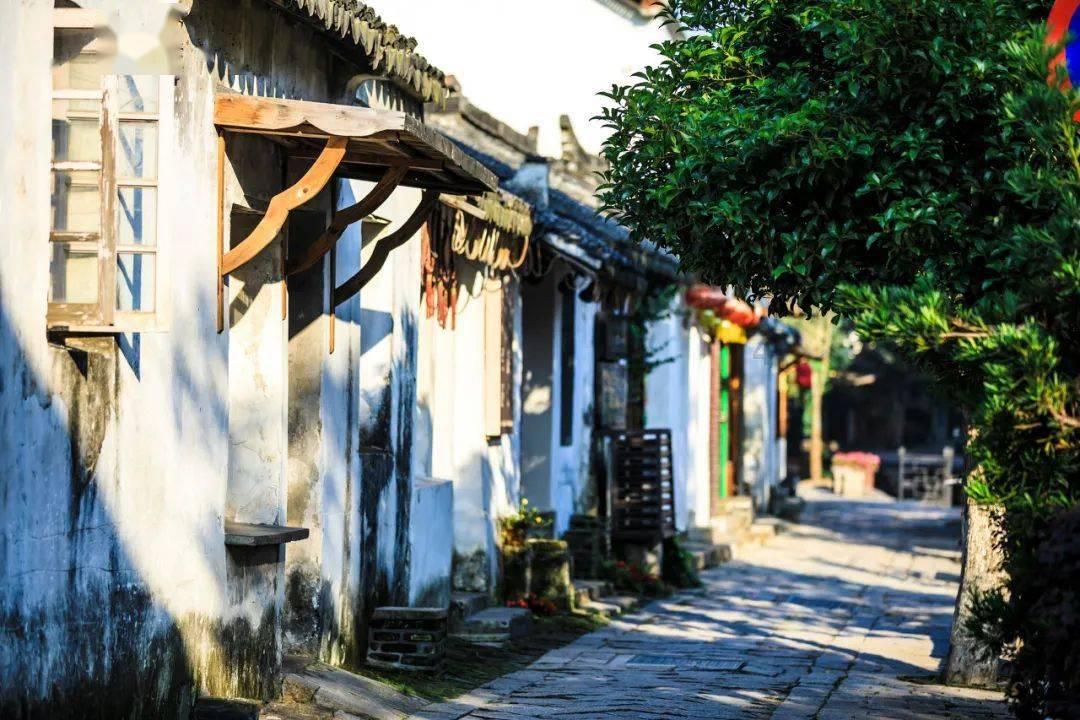 废弃精神病院逃脱
